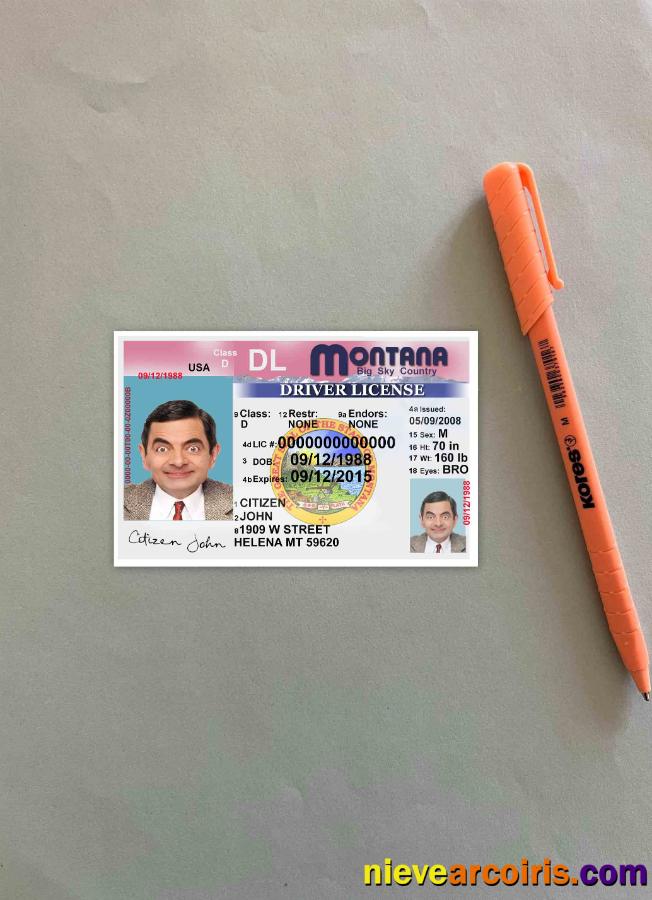 USA Montana driving license version 2 photolook